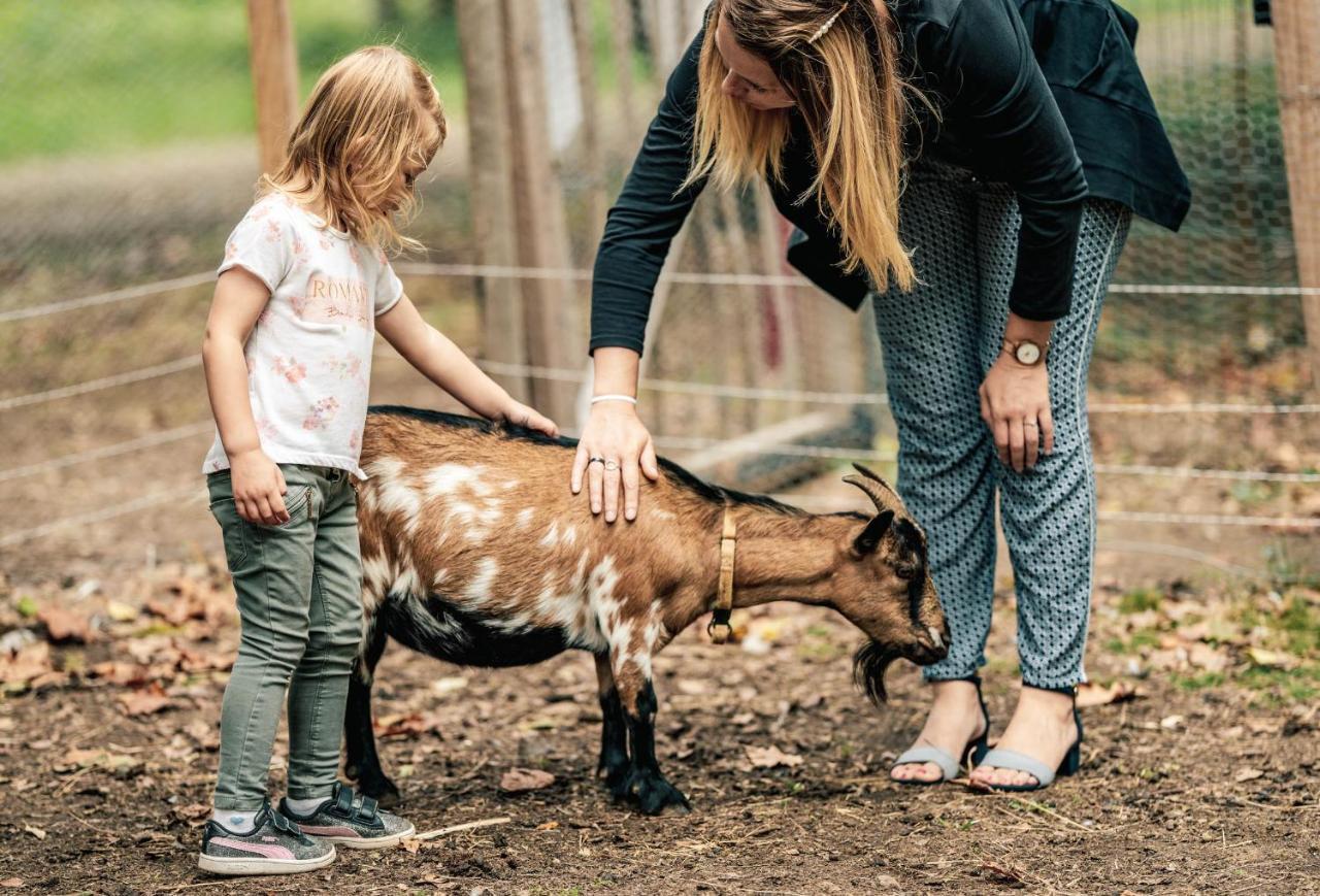 Camping De L'Orangerie De Lanniron Quimper Eksteriør billede